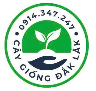 Cây Giống Đắk Lắk | Sản Phẩm Chất Lượng Từ Viện Ea Kmar